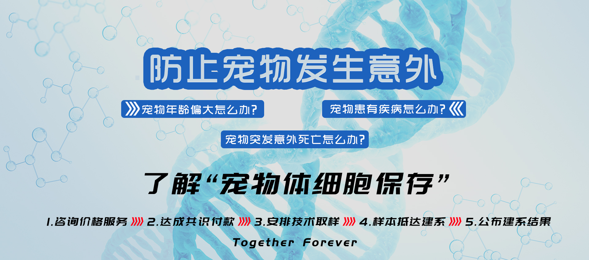 首页banner